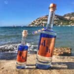 The Drunken Horse Gin giftbox - Afbeelding 6